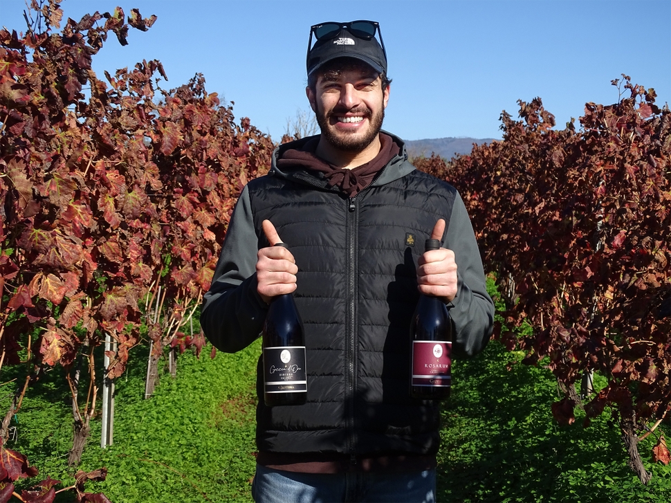 Grutteria Vini - CATANZARO AZIENDE
